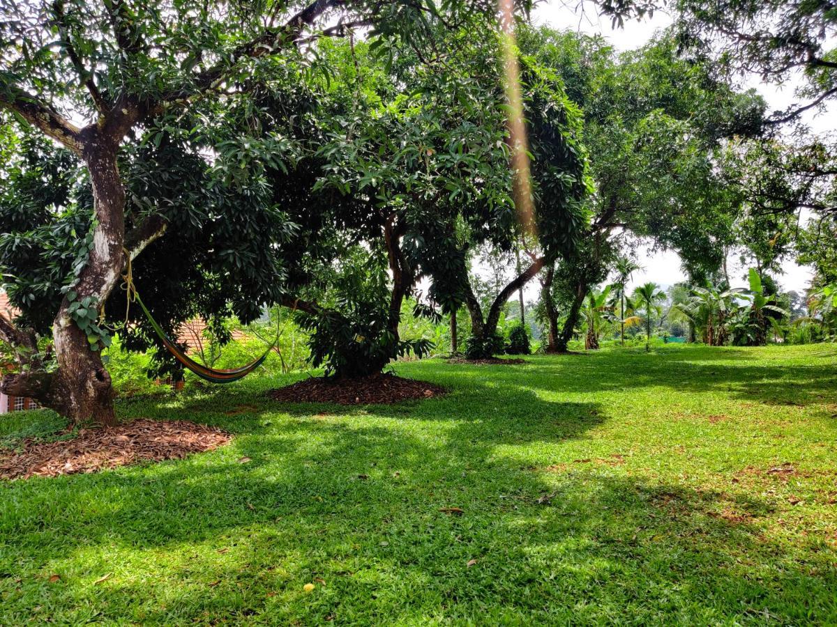 Carmel Tourism Village Kotamangalam ภายนอก รูปภาพ