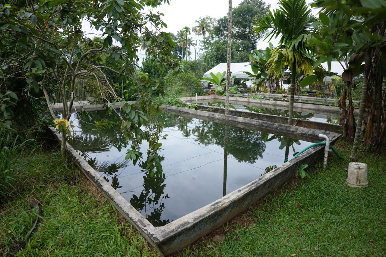 Carmel Tourism Village Kotamangalam ภายนอก รูปภาพ