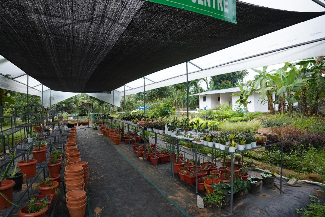 Carmel Tourism Village Kotamangalam ภายนอก รูปภาพ