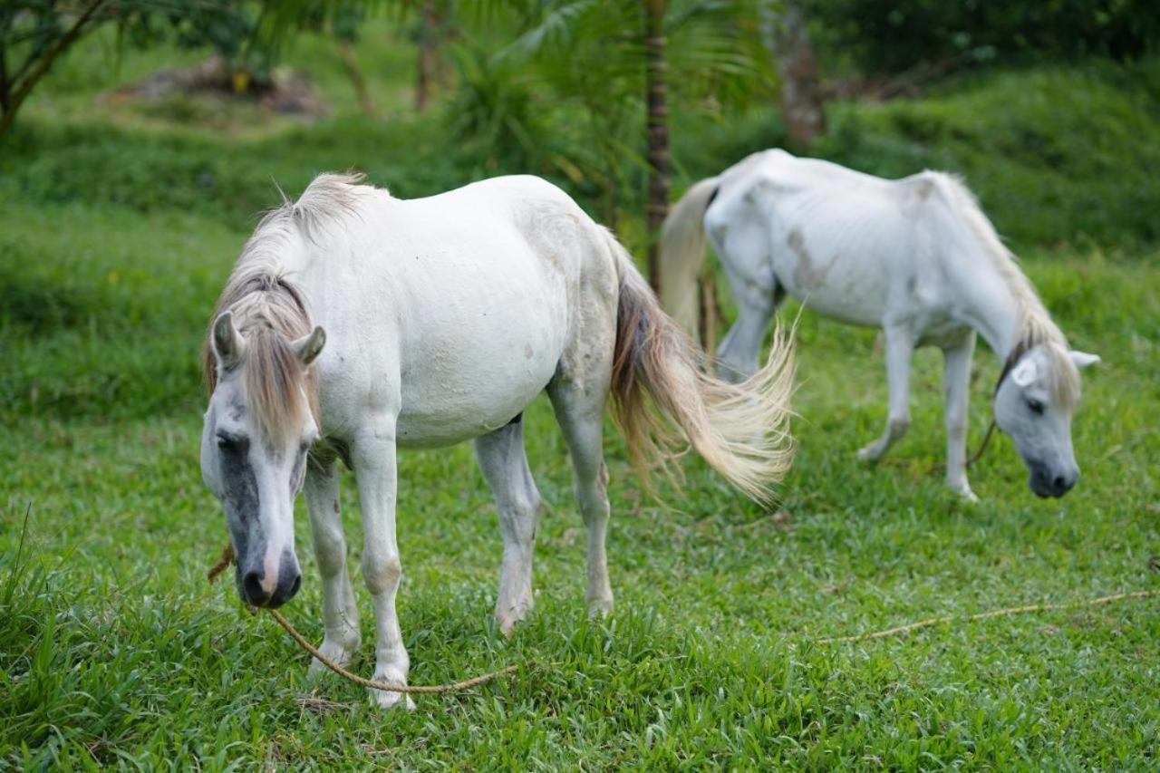 Carmel Tourism Village Kotamangalam ภายนอก รูปภาพ